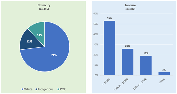 Demographics by Ethnicity, Income